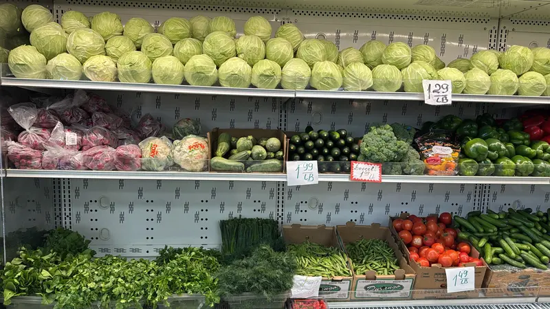 Cabbage, zucchini, broccoli, tomatoes, cucumbers and fresh greens